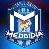 Cumparari directe: Clubul Sportiv Medgidia, contracte cu doua firme din municipiu, pentru lucrari de reamenajare si reparatii (DOCUMENTE)