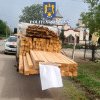 In judetul Constanta: Amendat pentru transport de material lemnos fara documente legale