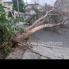Interventie de urgenta pe strada Orizontului din municipiul Constanta! Ce s-a intamplat