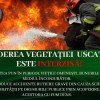 ISU Constanta: Incendiile de vegetatie uscata se propaga rapid! Masuri de prevenire