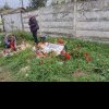 Judetul Constanta: Familiile tinerilor ucisi la 2 Mai au ajuns la locul accidentului (GALERIE FOTO)
