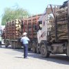 Camioanele care transportă ilegal material lemnos, nu mai pot fi confiscate: Măsura, eliminată din Codul Silvic
