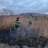 INCENDIU de vegetație uscată în localitatea Unirea: Intervin pompierii cu o autospecială