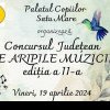 PALATUL COPIILOR SATU MARE Palatul Copiilor din Satu Mare găzduiește concursul județean ‘Pe Aripile Muzicii’ ediția a II-a