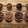 PRODUCȚIA LA CAFEA Preţul cafelei robusta, un nou maxim istoric