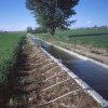 SISTEME DE IRIGAȚII Este în derulare acţiunea de reabilitare a sistemelor de irigaţii din zona de Sud a României