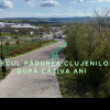 La câțiva ani de la inaugurare, Pădurea Clujenilor, un parc cu o investiție de peste 4.5 milioane de euro, este gol- VIDEO