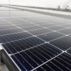 O parte din energia electrică folosită de studenții din căminele UBB va fi produsă cu ajutorul panourilor solare. Investiția se ridică la 6,5 milioane de l