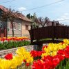 Sâncraiu, cel mai pitoresc sat al Clujului, a ajuns în finala competiției turistice Destinația Anului! Cum puteți vota