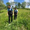 Jandarmii băcăuani au fost solicitați să intervină la Coțofănești, Parava și Oituz după ce a fost semnalată prezența urșilor