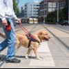 Oficial: Persoanele cu handicap au acces gratuit în mijloacele de transport în comun, magazine şi alte spaţii cu câinii ghid, promulgată