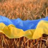 Au scăzut exporturile de cereale din Ucrainei