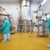Fine Foods& Pharmaceuticals investeşte 40 milioane euro în extinderea fabricii de produse farmaceutice din Bergamo