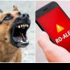 Focar de rabie confirmat în România. Mai mulți oameni mușcați de un câine turbat. S-a emis RO-Alert