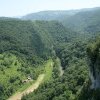 INS: Suprafaţa pădurilor din România a crescut anul trecut cu 3.159 ha faţă de anul 2022, la 6.459.925 hectare / Masa lemnoasă recoltată a scăzut cu 5,3%