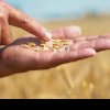 Norofert, producători românesc de inputuri, a finalizat linia de producţie de fertilizanţi din Dakota de Sud, SUA