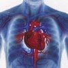 Cercetătorii au descifrat sindromul inimii frânte