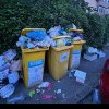 Zeci de străzi din Timișoara și din comunele învecinate s-au umplut de gunoi, Retim nu dă o dată certă de reîncepere a lucrului (video)