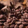 Cacao: o scădere înșelătoare a prețurilor?