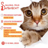 SofistiCAT – Salonul Felin Internațional București, ediția de primăvară la Sala Palatului, 11-12 mai 2024