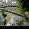 Ciclonul Remal a făcut prăpăd în Bangladesh: cel puțin zece morți și peste 30.000 de case distruse