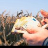 Fermierii vasluieni afectați de războiul din Ucraina vor primi sprijin financiar