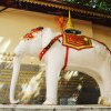 Elefantul lui Buddha ar putea strivi în curând Dragonul lui Confucius