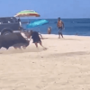 Imagini înspăimântătoare cu un taur înfuriat! Turiști puși pe fugă și atacați de animal, pe o plajă din Mexic – VIDEO
