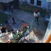 Imagini șocante! Familie din Timișoara, terorizată de vecini. „Sunt timișoreni agresați și hărțuiți de clanuri” – VIDEO