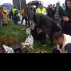 Litoralul, îndoliat! Protest la Vama Veche faţă de modul în care se desfăşoară procesul lui Vlad Pascu (VIDEO)