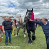 Gheorghe Flutur vrea să încheie parteneriate cu primăriile interesate pentru evenimente care să aibă în atenție calul. „Bucovina poate deveni un centru de atracție și pentru aceste târguri de cai”