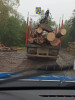 Mărginean amendat pentru un transport de lemne de foc fără acte
