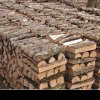 Ocoalele Silvice Fălcău și Putna au la dispoziție aproape 1.300 de metri cubi de lemn de foc pentru populație