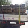 Permis reținut, lemn confiscat și sancțiuni contravenționale pentru un șofer băut care a efectuat un transport ilegal de lemne