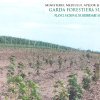 Peste 105 hectare de noi păduri realizate în județul Suceava cu bani europeni atrași prin PNRR