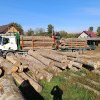 Transport de lemn tăiat ilegal în valoare de 2.000 lei confiscat de polițiștii din Gălănești
