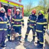Un ieduț pe nume Corneluș care a căzut într-o fântână adâncă de 10 metri la Spătărești salvat după două zile de pompierii din Fălticeni (foto)