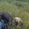 Groază în Botoșani. Criminalul fetiței de 8 ani ucisă în liziera de salcâmi este unchiul copilei: ”Îmi pare rău, eram băut”
