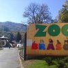 Grădina Zoologică Brașov marchează Ziua Biodiversităţii