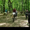 Grupurile de crescători de cai se relaxează în natură în zona Reghinului