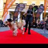 Sibiu: Peste 200 de iubitori de animale şi tatuaje, la prima paradă a căţeilor din oraş