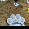 Cimitirul animalelor din România. Unde se pot înmormânta prietenii blănoși
