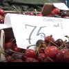 Cireșele de import, mai scumpe decât mielul de Paște! Cu cât se vinde kilogramul în piețe: pensionarii sunt revoltați