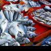 Dezlegare la pește stricat. ANPC a descoperit zeci de tone de pește de proastă calitate, pus la vânzare în postul Paștelui