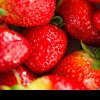 Fructele bio, la mare căutare printre români. Pentru căpșuni se fac liste de așteptare