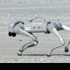 RoboDog, câinele robot de luptă construit de chinezi. Arată ca un amestec între Războiul Stetelor și Patrula Cățelușilor - VIDEO