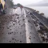 Vremea rea a făcut prăpăd în țară: drum blocat din cauza căderilor de piatră