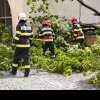 Vremea rea face primele pagube: Mai mulți copaci căzuți și o mașină distrusă la Sibiu