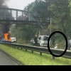 Apariția unei lebede pe o autostradă aglomerată din Anglia a dus la un accident urmat de un incendiu | VIDEO