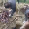 Bărbat înjunghiat și îngropat pe câmp, găsit în viață și salvat după patru zile, în Republica Moldova. VIDEO